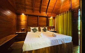 Woodholic Homestay