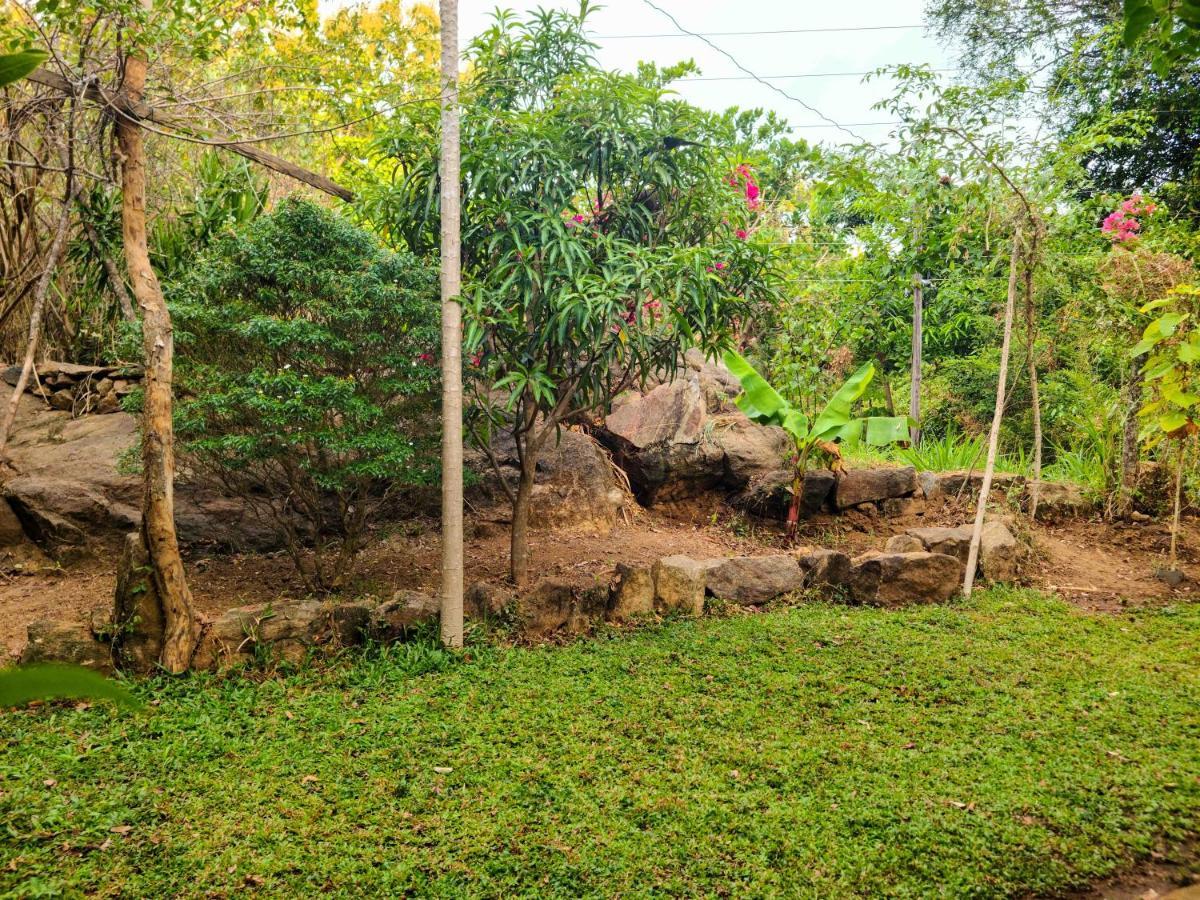 Woodholic Homestay Sigiriya Buitenkant foto