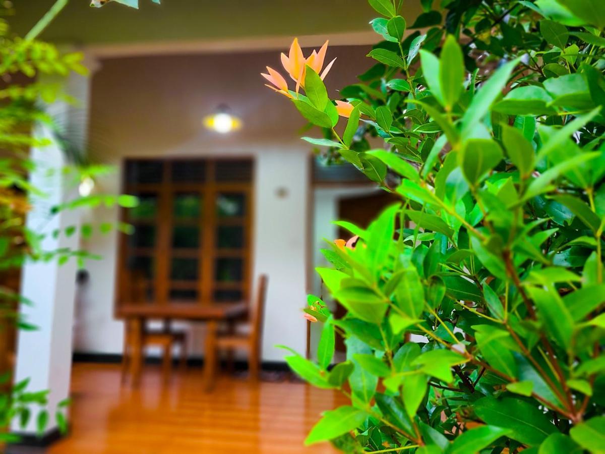 Woodholic Homestay Sigiriya Buitenkant foto