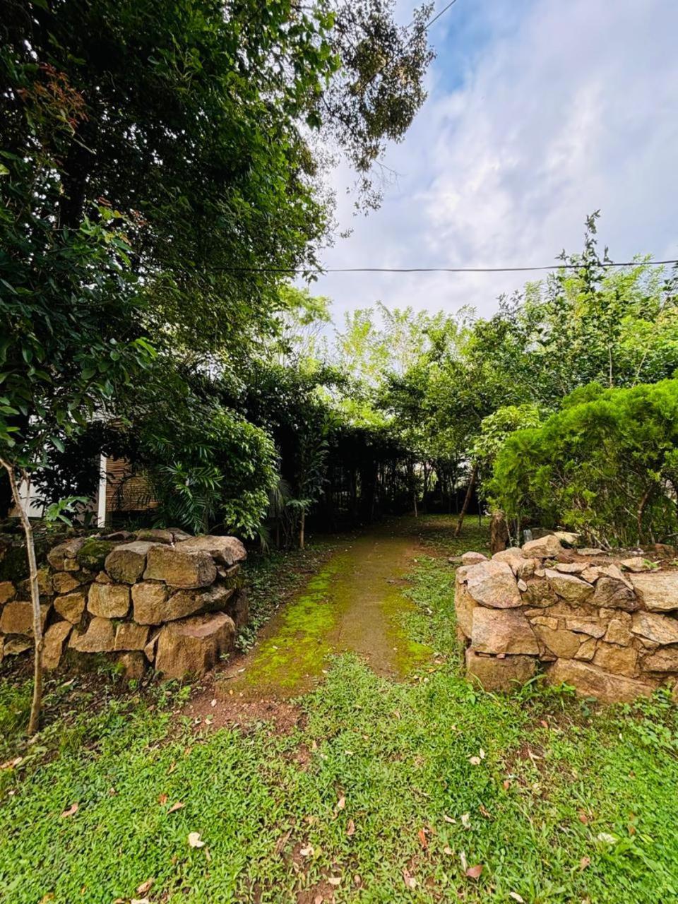 Woodholic Homestay Sigiriya Buitenkant foto
