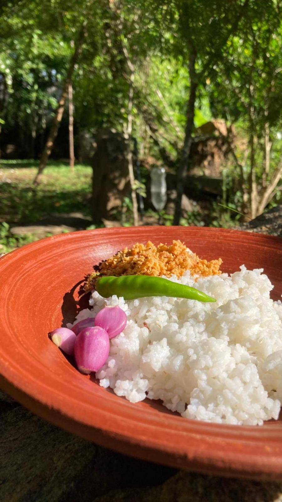 Woodholic Homestay Sigiriya Buitenkant foto