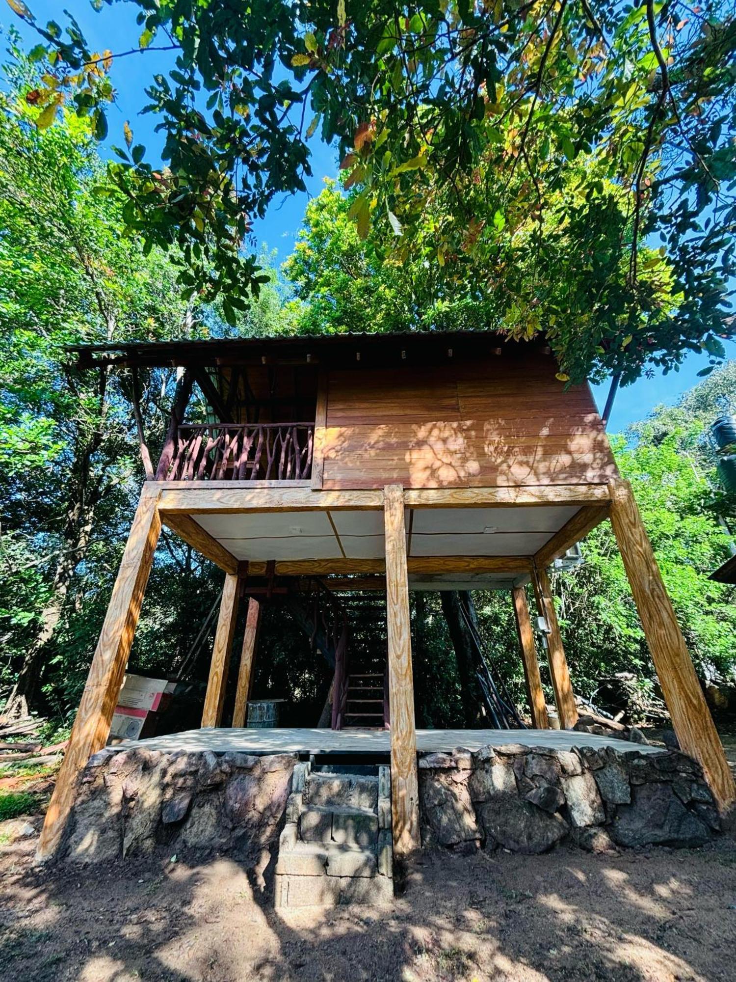 Woodholic Homestay Sigiriya Buitenkant foto